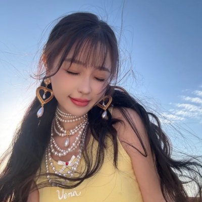 燕子盗 海报